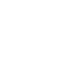expert icon